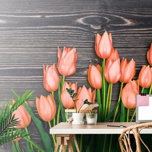 Fototapeta oranžové tulipány na drevenom podklade - 375x250