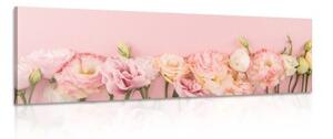 Obraz pastelové kvitnúce kvety - 150x50