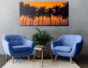 Obraz západ slnka nad palmami - 100x50