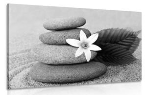 Obraz kvet a kamene v piesku v čiernobielom prevedení - 120x80