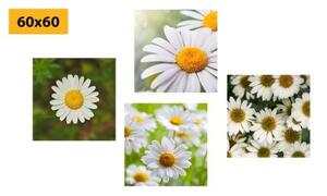 Set obrazov čarovné kvety - 4x 40x40