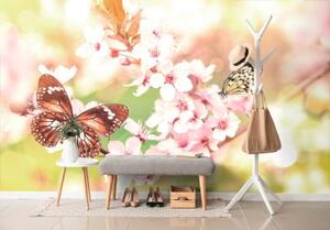 Samolepiaca tapeta jarné kvety s exotickými motýľmi - 225x150