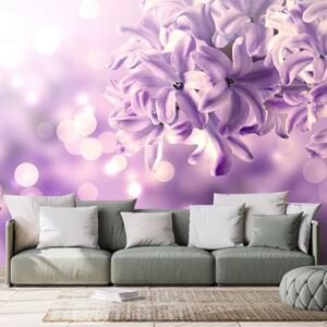 Samolepiaca tapeta fialový kvet orgovánu - 225x150