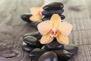 Samolepiaca fototapeta orchidea a Zen kamene - 225x150