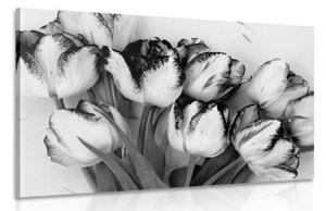 Obraz jarné tulipány v čiernobielom prevedení - 120x80