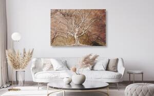Obraz koruna stromu s abstraktným nádychom - 60x40
