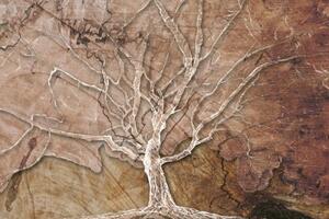 Obraz koruna stromu s abstraktným nádychom - 60x40