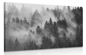 Obraz hory v hmle v čiernobielom prevedení - 60x40