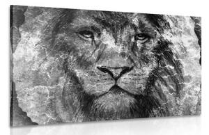 Obraz tvár leva v čiernobielom prevedení - 60x40