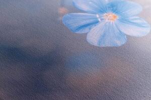 Obraz modré kvety na vintage pozadí - 100x50