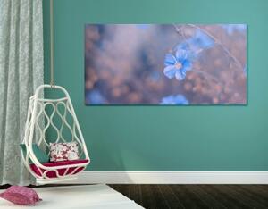 Obraz modré kvety na vintage pozadí - 100x50