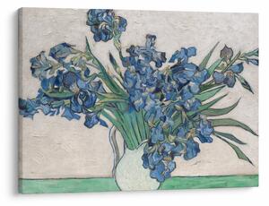 Obraz - Vincent van Gogh, Irises, reprodukcia (70x50 cm)