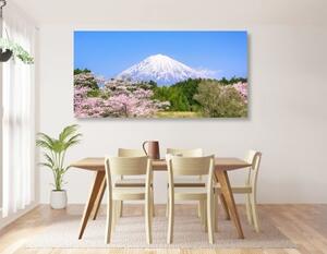 Obraz hora Fuji - 100x50