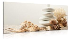 Obraz Zen kamene s mušľami - 100x50