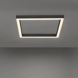 STROPNÉ LED SVIETIDLO, 55/55/3,9 cm - Interiérové svietidlá