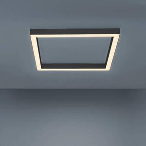STROPNÉ LED SVIETIDLO, 55/55/3,9 cm - Interiérové svietidlá