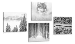 Set obrazov vlk v tajomnom lese v čiernobielom prevedení - 4x 40x40