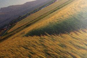Obraz západ slnka nad pšeničným poľom - 120x40