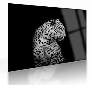 Sklenený obraz - Leopard (70x50 cm)