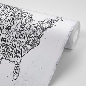 Samolepiaca tapeta šedá mapa USA s jednotlivými štátmi - 450x300