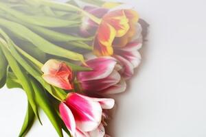 Samolepiaca fototapeta kytica tulipánov - 300x200