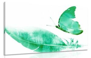 Obraz pierko s motýľom v zelenom prevedení - 120x80