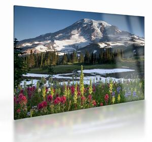 Sklenený obraz - Mount Rainier (70x50 cm)