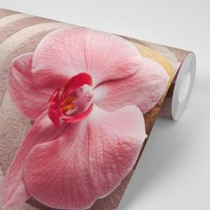 Tapeta morský piesok a ružová orchidea - 300x200