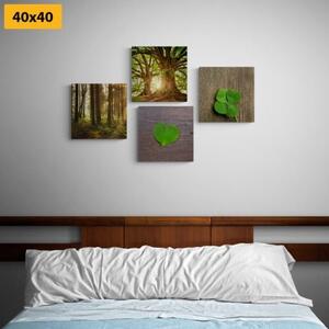 Set obrazov vánok prírody - 4x 40x40