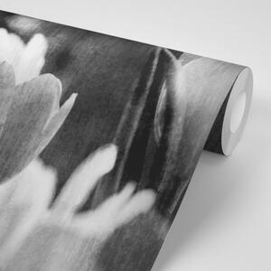 Samolepiaca tapeta čiernobiele tulipány v retro štýle - 225x150