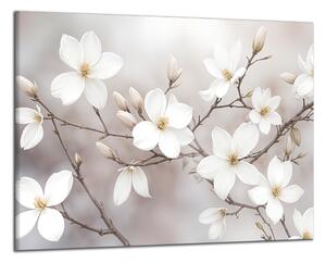 Obraz na plátne Rozkvitnuté biele kvety