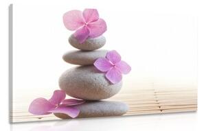 Obraz balans kameňov a ružové orientálne kvety - 60x40