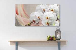 Obraz biela orchidea na plátne - 100x50