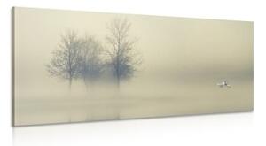 Obraz stromy v hmle - 100x50