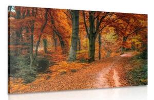 Obraz les v jesennom období - 120x80
