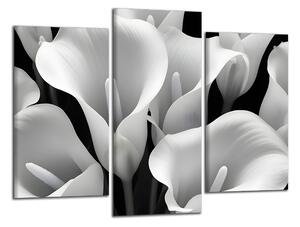 Moderný obraz Čiernobiele kvety