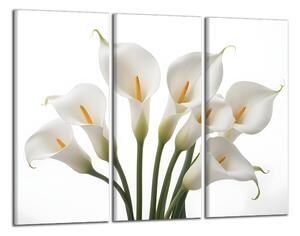 Obraz na plátne Biele kvety