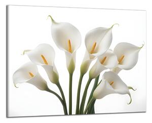 Obraz na plátne Biele kvety