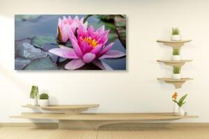 Obraz ružový lotosový kvet - 100x50