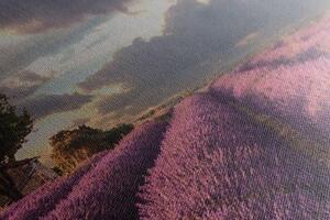 Obraz krajina levanduľových polí - 120x40