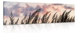 Obraz klásky dlhej trávy - 120x40