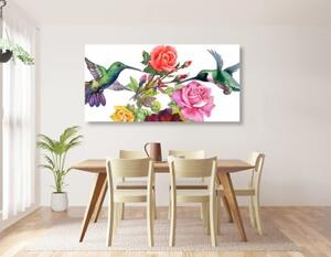 Obraz kolibríky s kvetmi - 100x50
