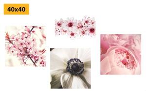 Set obrazov jemnosť kvetov - 4x 40x40