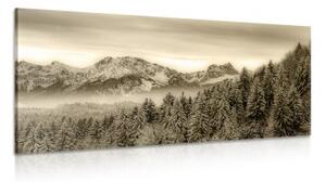 Obraz zamrznuté hory v sépiovom prevedení - 100x50