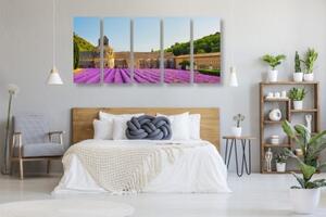 5-dielny obraz Provensálsko s levanduľovými poľami - 100x50