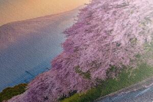 Obraz nádherné Japonsko - 100x50