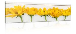 Obraz nádherné žlté kvety - 150x50