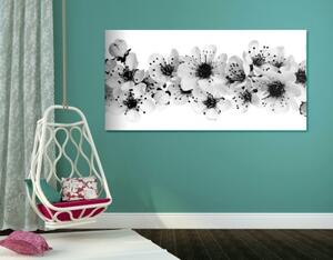 Obraz čerešňové kvety v čiernobielom prevedení - 100x50