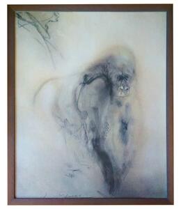 - gorila | 51.2x61.2