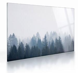 Sklenený obraz - Zahmlený les (70x50 cm)